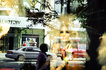 Reflection of the street on a store window, Magnificent Mile, Chicago, Illinois, USA