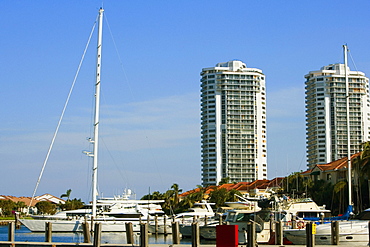 Boats moored at a dock, Miami, Florida, USA