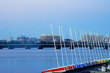 Bridge over a river, Harvard Bridge, Charles River, Boston, Massachusetts, USA