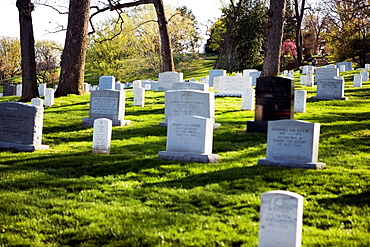 Gravestones in a graveyard, Arlington National Cemetery, Arlington, Virginia, USA