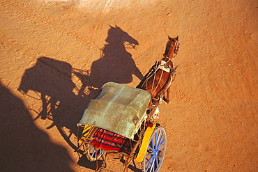 High angle view of a horse cart, Bagan, Myanmar