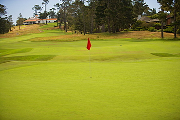 Golf flag on a golf course