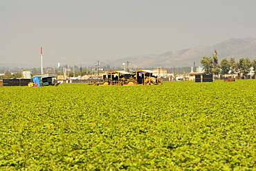 Group of people working in a farm