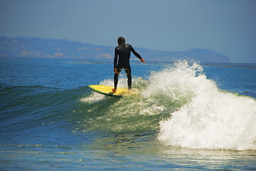 Rear view of a person surfing