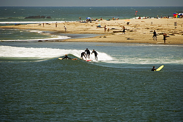 Group of people surfing, Malibu, California, USA