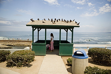 Side profile of a woman standing in a gazebo at the waterfront, La Jolla, San Diego, California, USA