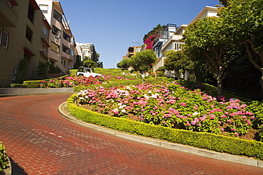 Low angle view of Lombard Street, San Francisco, California, USA