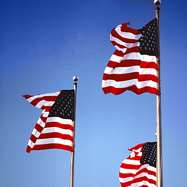 Low angle view of American flags fluttering, Washington DC, USA