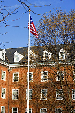 Low angle view of a flag in front of a building, Annapolis, Maryland, USA
