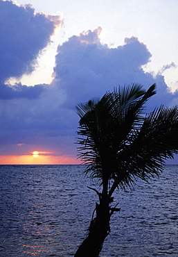 Sunset over the sea, Blackbeard's Caye, Belize