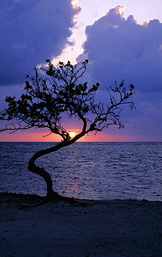 Sunset over the sea, Blackbeard's Caye, Belize