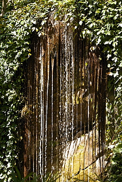 Waterfalls in a forest, Hana Highway, Twin falls, Maui, Hawaii Islands, USA