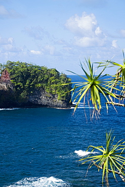 Cliff overlooking the sea, Hawaii Tropical Botanical Garden, Hilo, Big Island, Hawaii Islands, USA