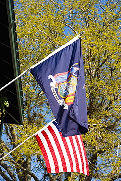 Low angle view of US state flag with the National flag