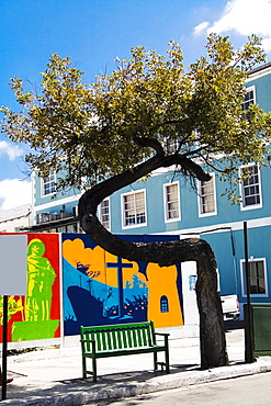 Bench under a tree, Bay Street, Nassau, Bahamas