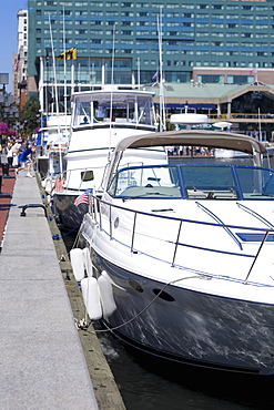 Motorboats moored at a harbor, Inner Harbor, Baltimore, Maryland, USA