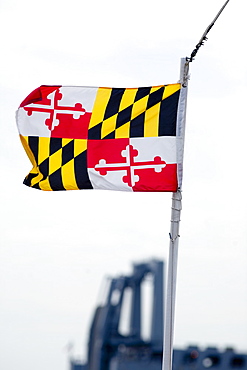 Close-up of a Maryland State flag fluttering, Baltimore, Maryland, USA