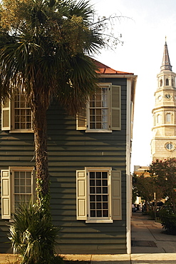 Palm tree in front of a building with a church in the background, St. Philip's Church, Charleston, South Carolina, USA