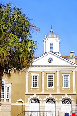 Tree in front of a building, Old Exchange Building, Charleston, South Carolina, USA