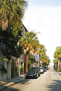 Cars parked at the roadside, Charleston, South Carolina, USA