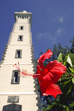 Close-up of a flower in front of a tower, Papeete, Tahiti, Society Islands, French Polynesia