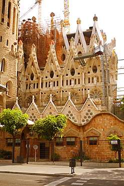 Low angle view of a church, Sagrada Familia, Barcelona, Spain