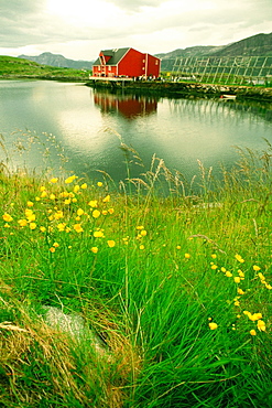 Fish farm on an island, Salmon, Norway