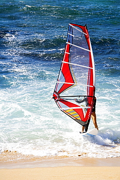 Man windsurfing in the sea, Hookipa Beach, Maui, Hawaii Islands, USA