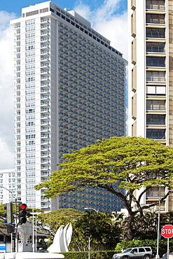 Skyscrapers in a city, Honolulu, Oahu, Hawaii Islands, USA