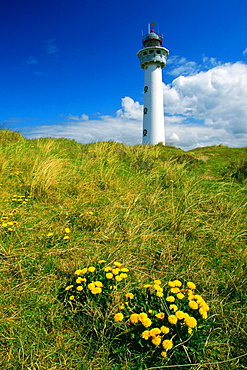 Low angle view of a lighthouse, Egmond, Netherlands