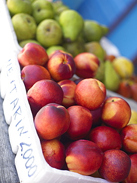 Close-up of fruits in fruit cartons, Providencia, Providencia y Santa Catalina, San Andres y Providencia Department, Colombia