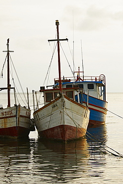 Tourboats anchored at the port, Taganga Port, Taganga Bay, Magdalena, Colombia