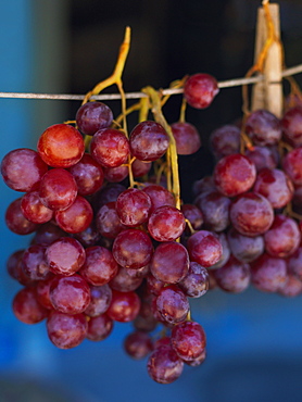 Close-up of red grapes hanging at a market stall, Providencia, Providencia y Santa Catalina, San Andres y Providencia Department, Colombia