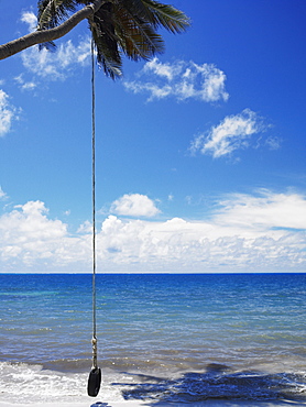 Tire swing over the sea, Manzanillo Beach, Providencia Island, Providencia y Santa Catalina, San Andres y Providencia Department, Colombia