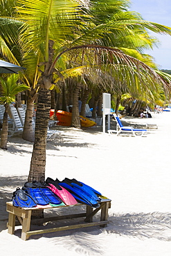 Flippers on a bench under a palm tree on the beach, West Bay Beach, Roatan, Bay Islands, Honduras