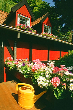 Flowers in front of a restaurant, Tivoli Gardens, Copenhagen, Denmark