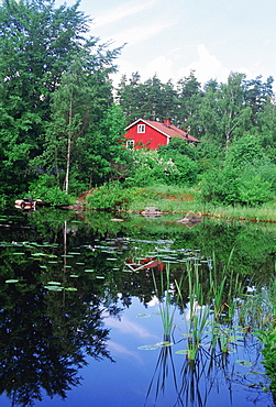 Cottage in a forest, Smaland, Sweden