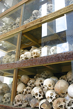 Human skeletons in racks, The Killing Fields, Choeung Ek, Phnom Penh, Cambodia