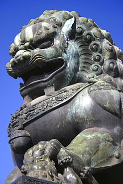 Low angle view of the statue of a lion, Forbidden City, Beijing, China