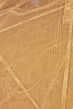 Aerial view of Nazca lines representing a parrot in a desert, Nazca, Peru