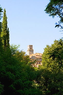 Trees in front of a building, Monteriggioni, Siena Province, Tuscany, Italy