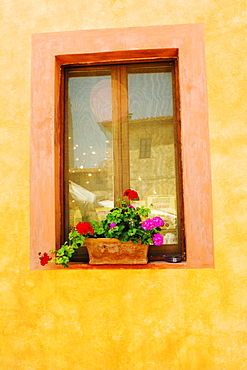 Flowers in a window box on a window sill, Monteriggioni, Siena Province, Tuscany, Italy