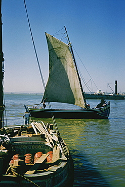 Boats in a harbor, Lisbon, Portugal