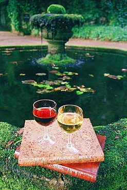 Two glasses of port wine on books, Oporto, Portugal