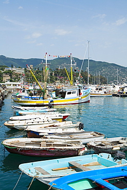 Boats moored at a harbor, Italian Riviera, Santa Margherita Ligure, Genoa, Liguria, Italy