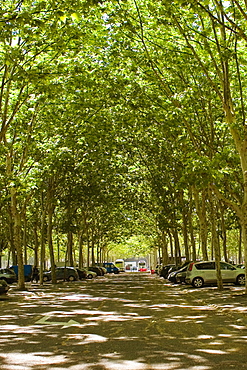 Vehicles parked on the both sides of a road, Place des Quinconces, Bordeaux, France