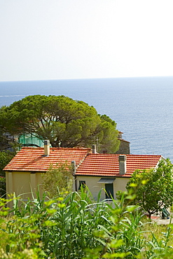 Building at the seaside, Italian Riviera, Mar Ligure, Genoa, Liguria, Italy