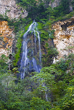 Waterfall in a forest, Sumidero Canyon, Chiapas, Mexico