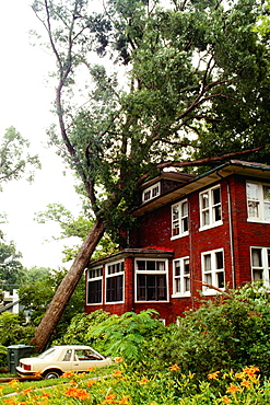 Fallen tree on a house, Washington DC, USA