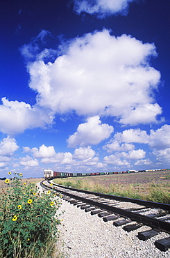 Train on a railroad track, Texas, USA